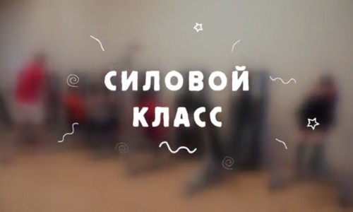 Силовой класс