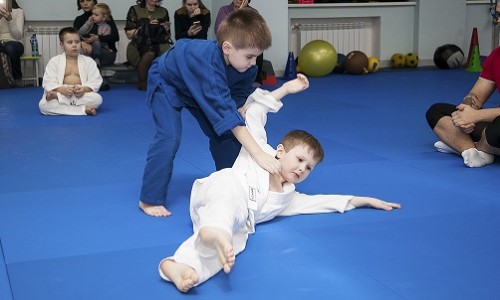 Карате: воспитываем силу духа, закаляем характер!